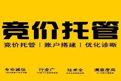 深入了解SEM托管公司的操作技巧与成功案例